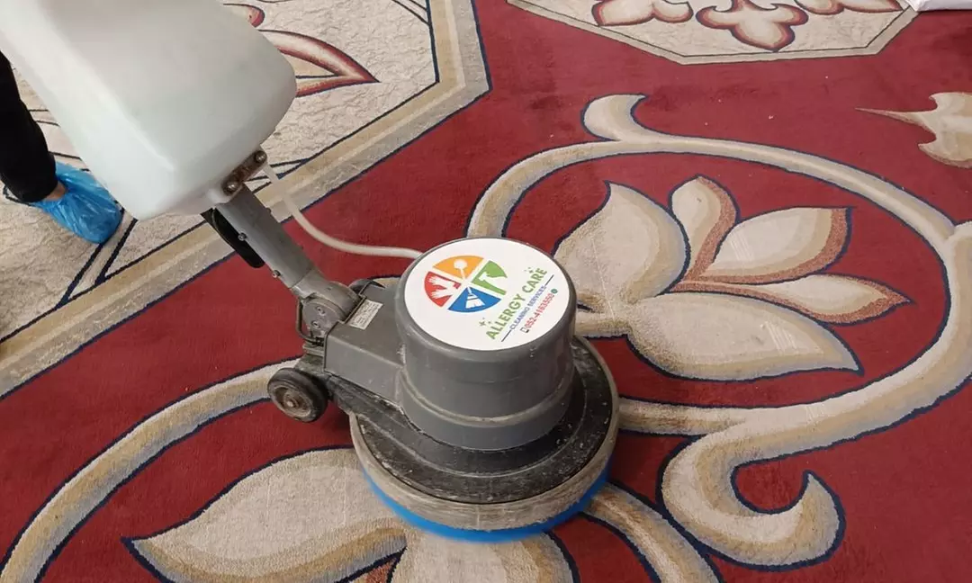 Allergy Care Cleaning Services