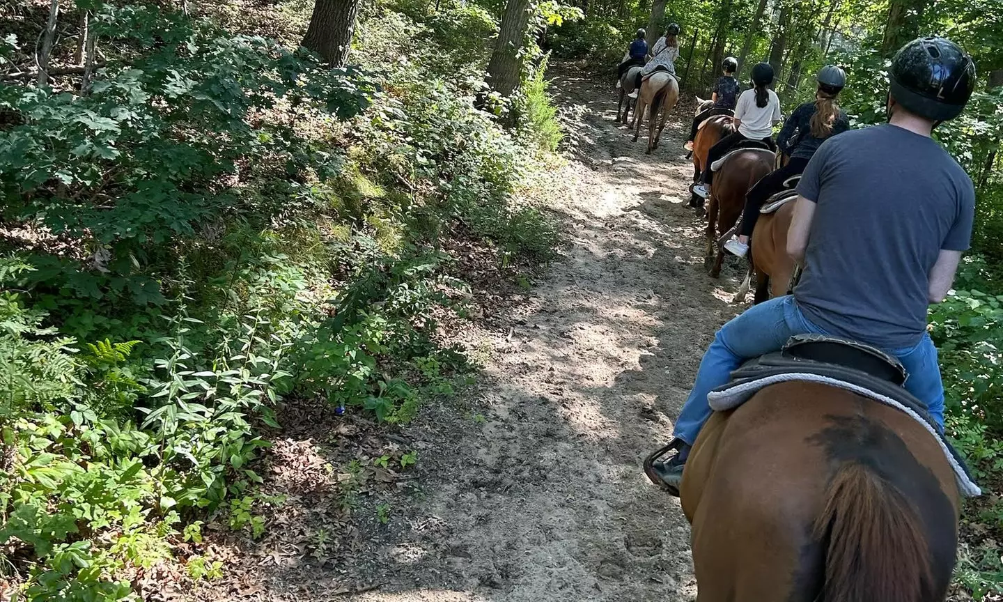 Up to 25% Off on Horse Back Riding - Training at Bethpage Equestrian Center - Primary Image