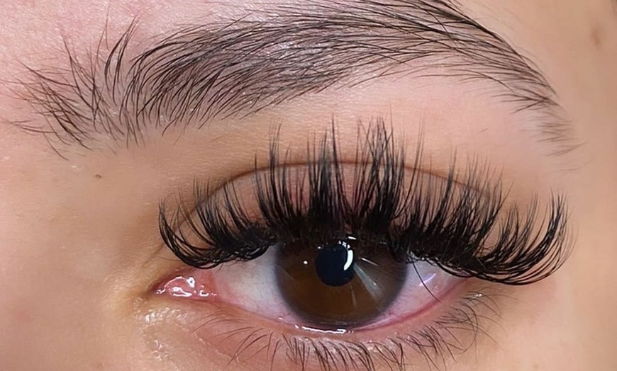 Synthetic Mink Lash Extensions - My One Stop Spa | Groupon