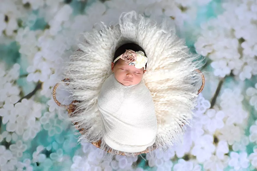 In-Studio Newborn Portrait Photo Shoot with Prints