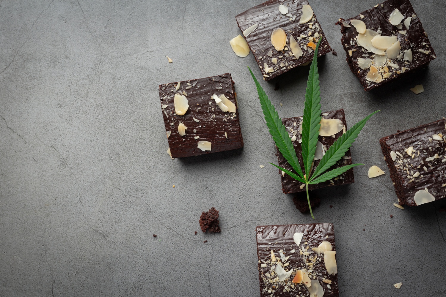 Learn to Make Cannabis Edibles with Grow Cannabis School