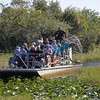 Image 5:  Explore the Everglades with a Guided Airboat Tour for One Person