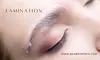Up to 40% Off on Eyebrow Tinting at BEA BROWS SPA