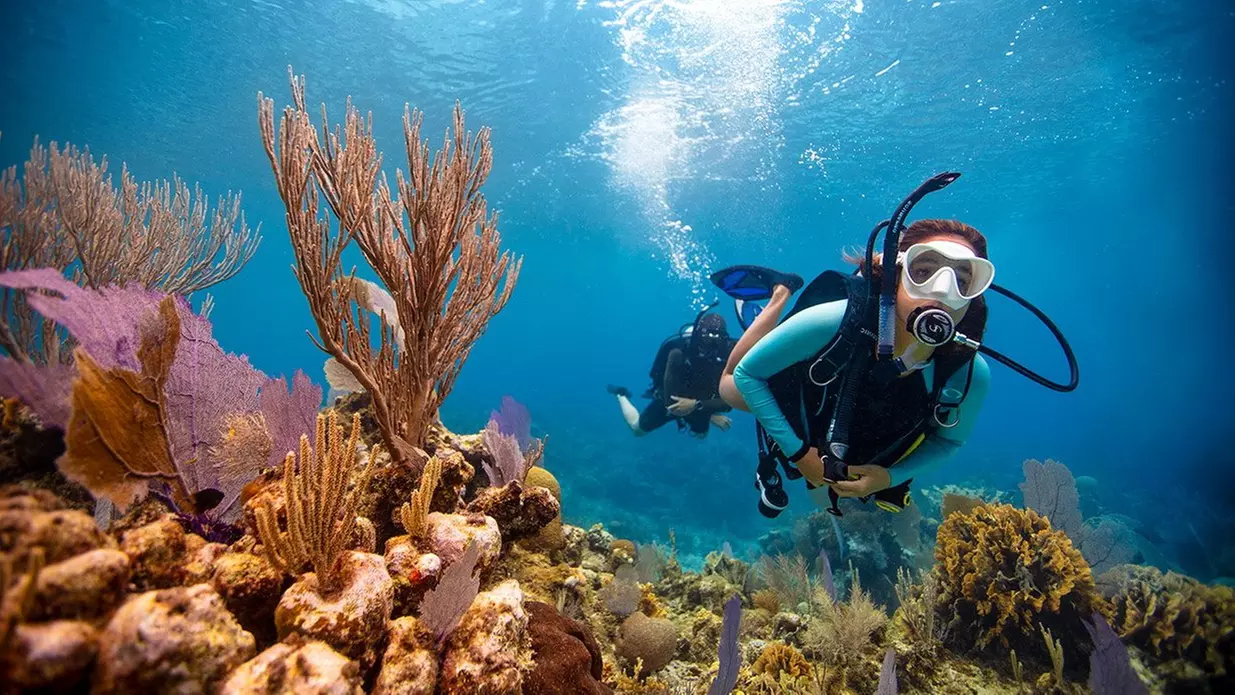 Up to 15% Off on SCUBA at Hawaii Dive Center - Primary Image