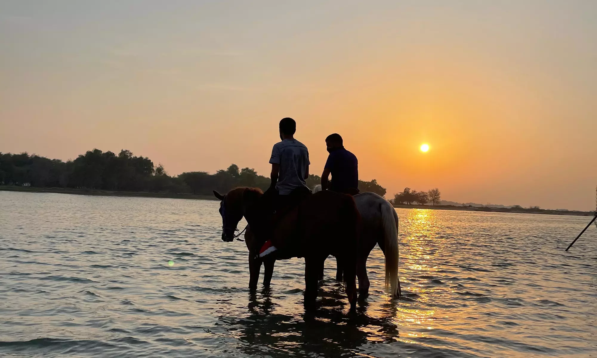 Horseback Riding by the Beach for Up to Four at Sanam Stable (Up to 31% Off) - Image 5
