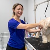 Image 1: Full Bath & Grooming for Dogs of All Sizes