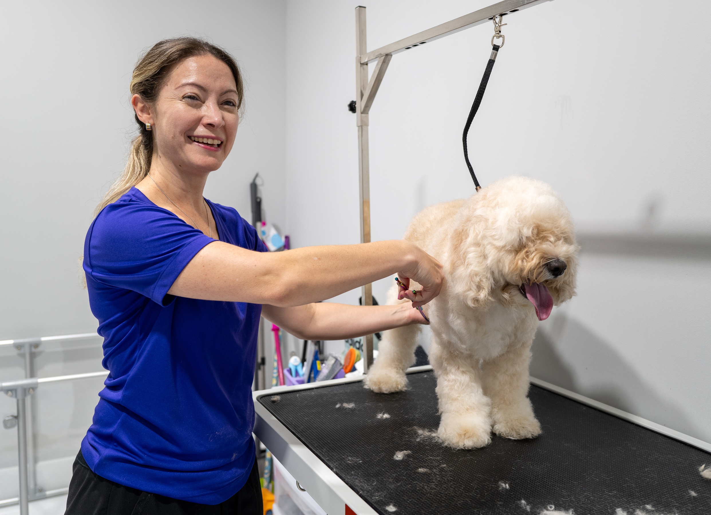 Full Bath & Grooming for Dogs of All Sizes