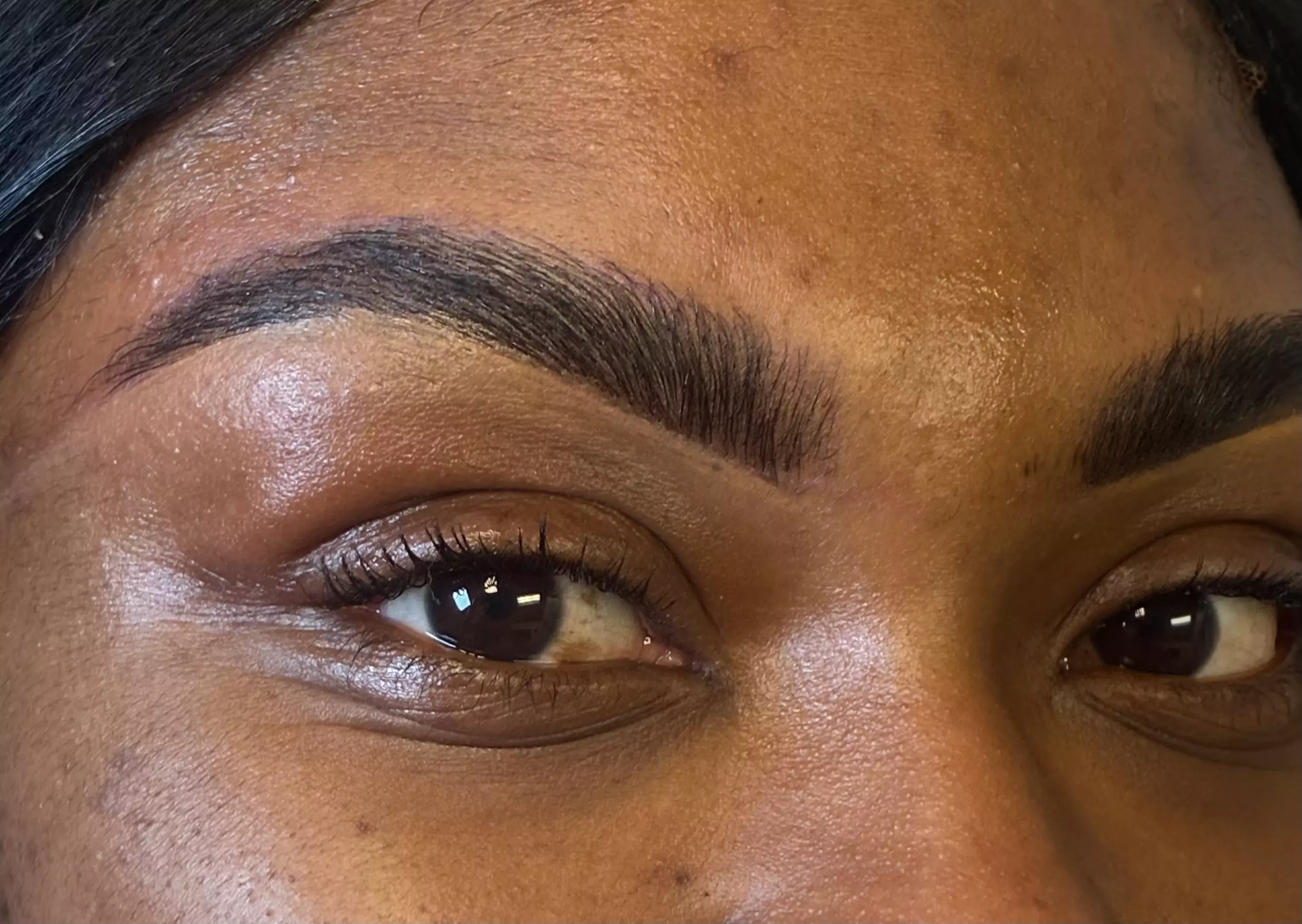 Brow Lamination and/or Wax & Optional Tint or Chin, Eyebrow or Lip Wax