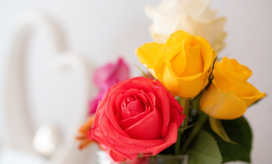 Image 3: 50 oder 75 Min. brasilianische Lymphdrainage inkl. Massage für 1 Pers.