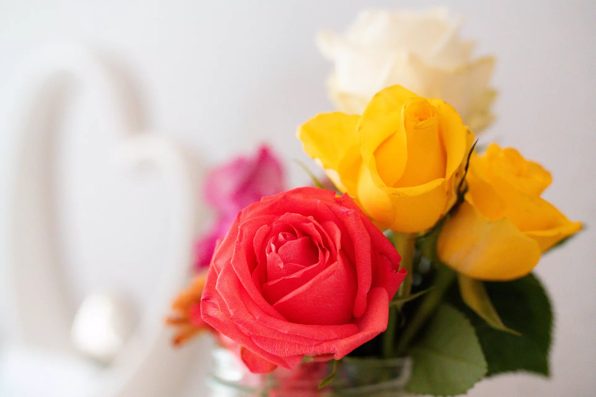 50 oder 75 Min. brasilianische Lymphdrainage inkl. Massage für 1 Pers.