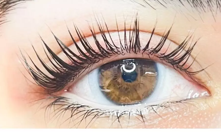 Get One Lash Lift or Brow Lmination and Tint or Lash Lift and Tint