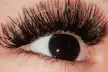 Up to 44% Off on Eyelash Extensions at Alpha and Omega Beauty Spa LLC - Second Medium