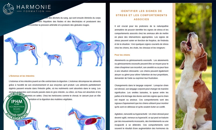 Image 3: Practicien(ne) en naturopathie animalière avec Harmonie Formation
