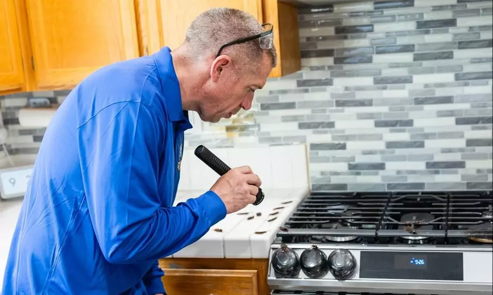 Up to 50% Off on Pest Control Service - General at LIBERTY PEST SERVICE - Second Medium