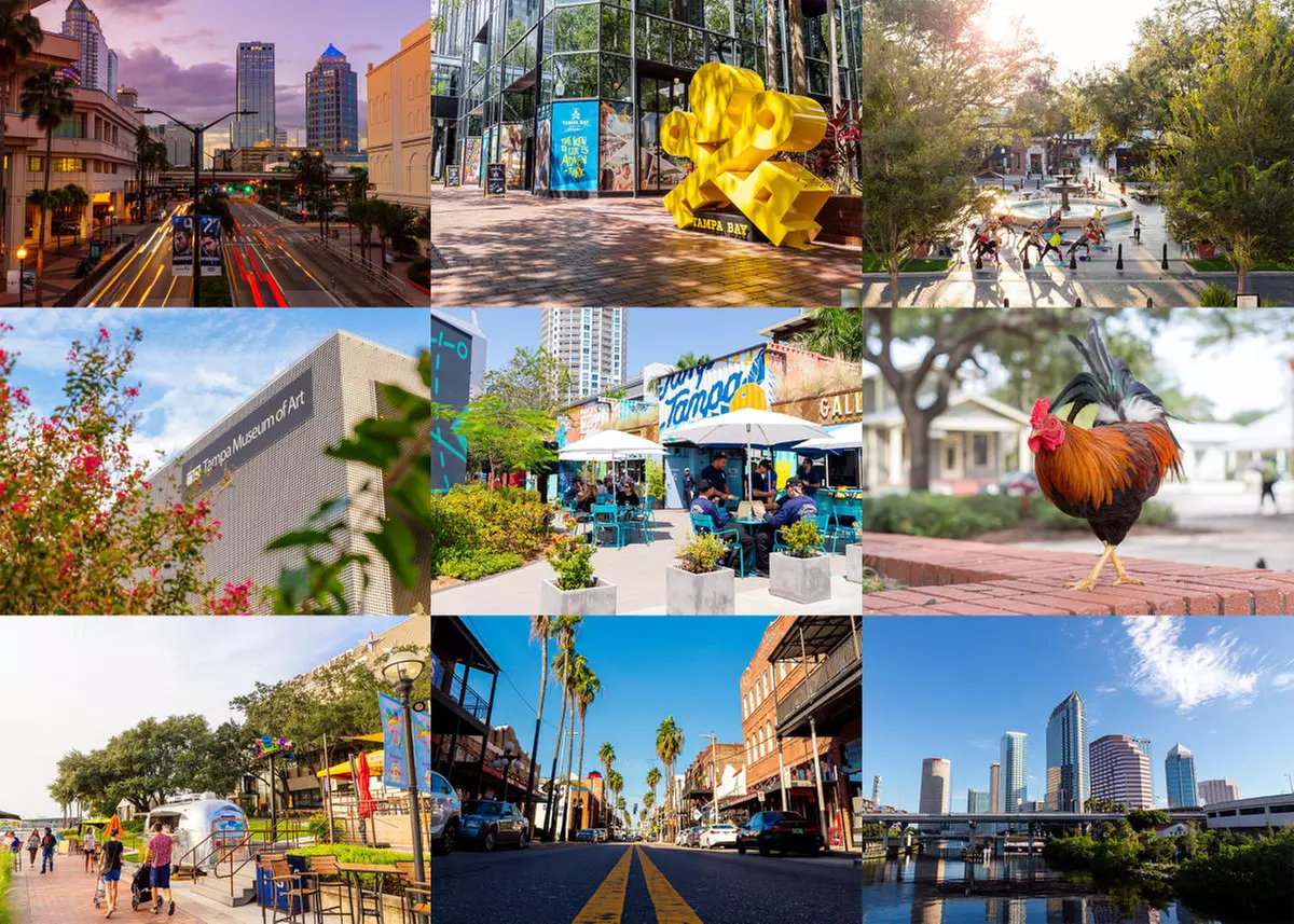 Up to 36% Off on City Tour at HHChicken LLC