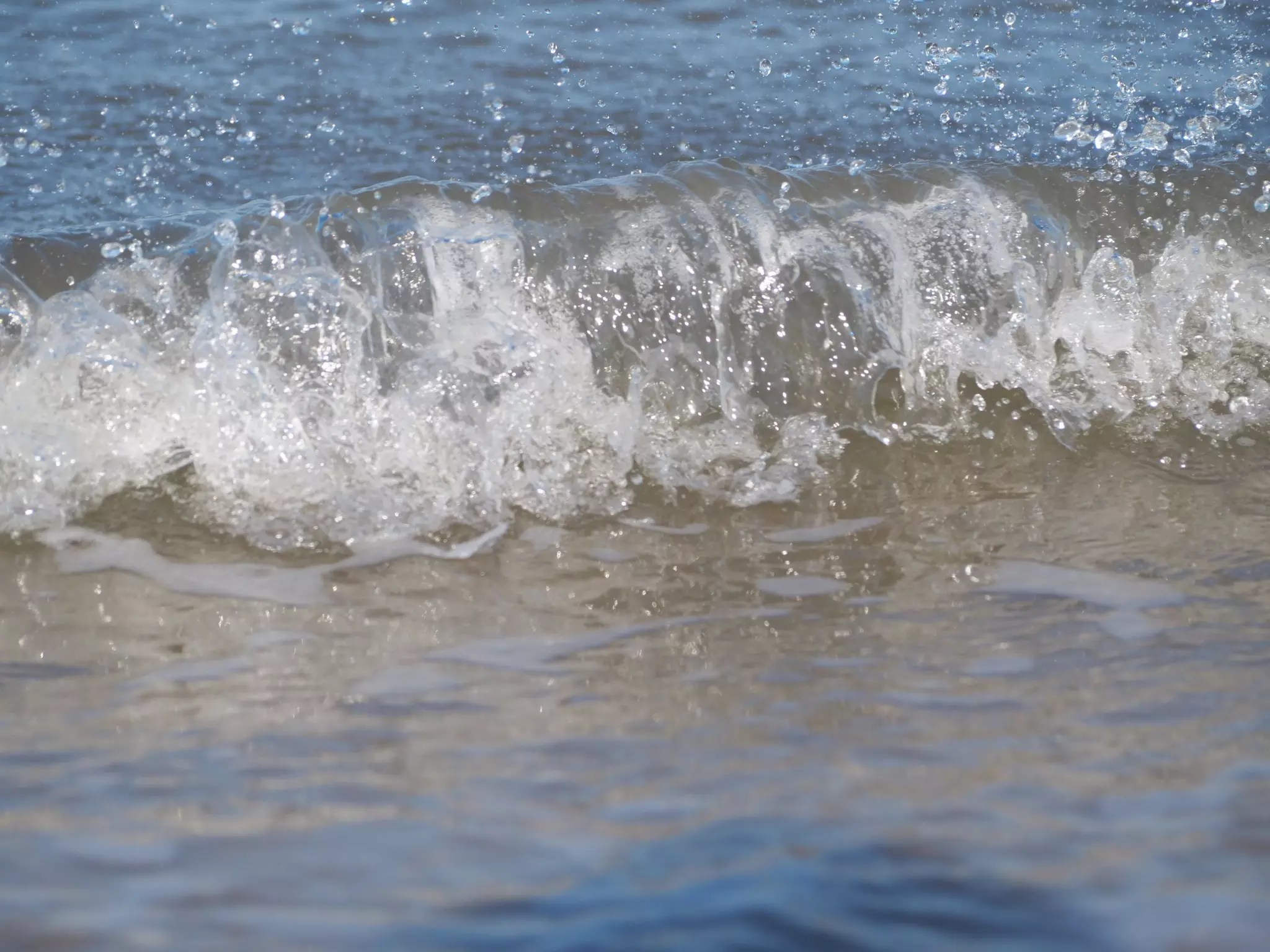 Bis zu 50% Rabatt auf den Berater – Lebensberater bei wellenreiten