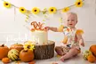 Up to 93% Off on Seasonal Photography at Photo Baby - Image 2