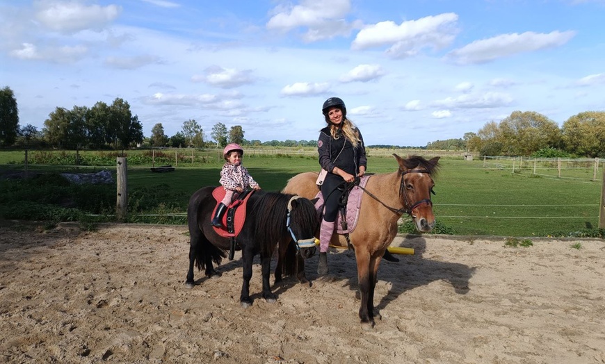 Image 4: Bis zu 48% Rabatt auf Reiten – Training bei Geli's Hofcafe