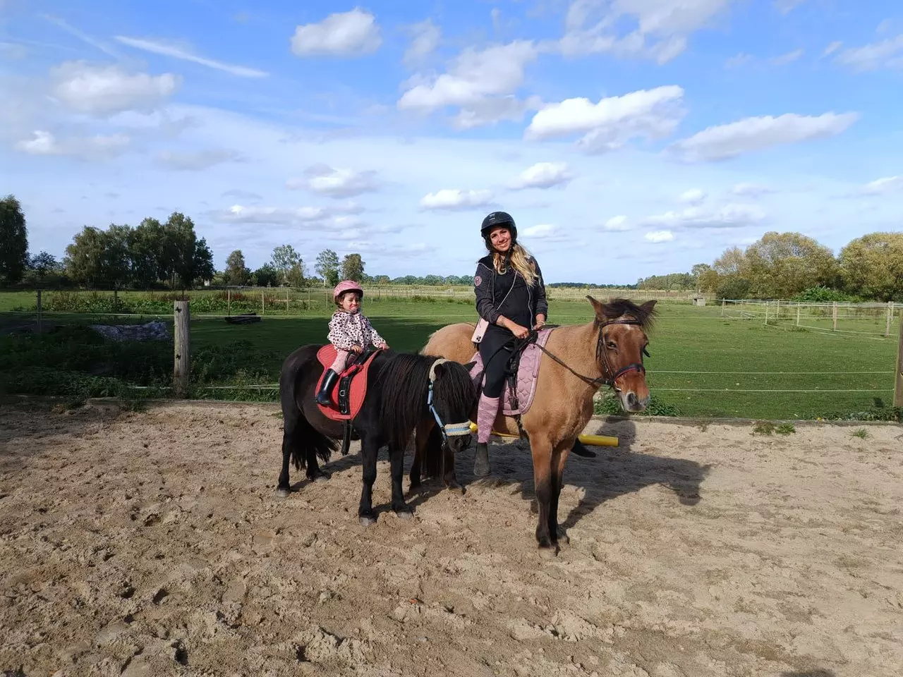 Bis zu 48% Rabatt auf Reiten – Training bei Geli's Hofcafe