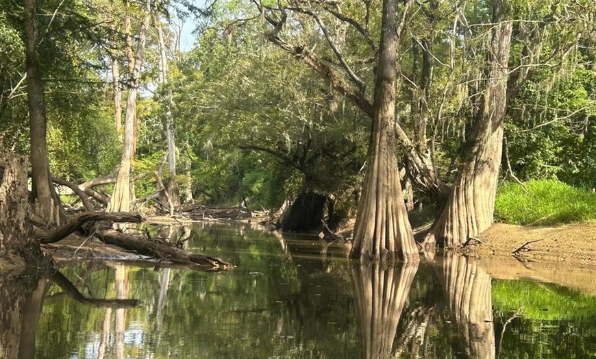 Image 4: Up to 45% Off on Guided Tour at KoKoMo Kayak Tours and Adventures