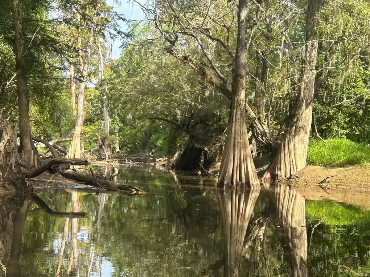 Up to 45% Off on Guided Tour at KoKoMo Kayak Tours and Adventures - Second Medium