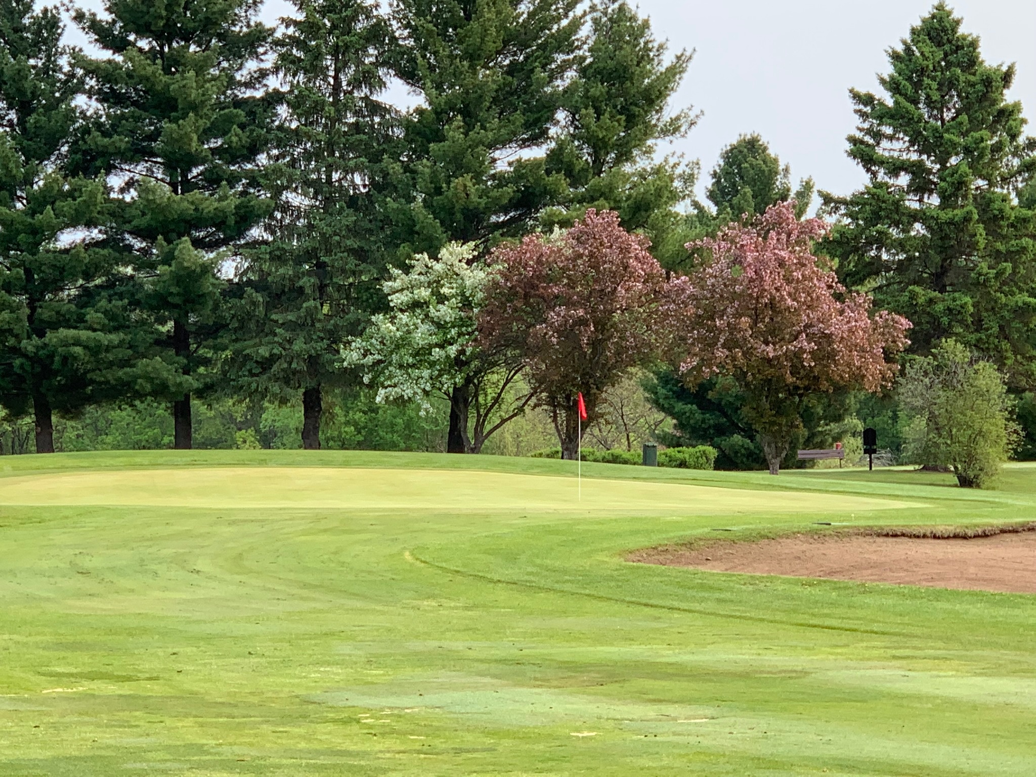 Unleash Your Inner Golf Pro: Golf Package for One, Two or Four at Purple Hawk Country Club. Save Up to 45%