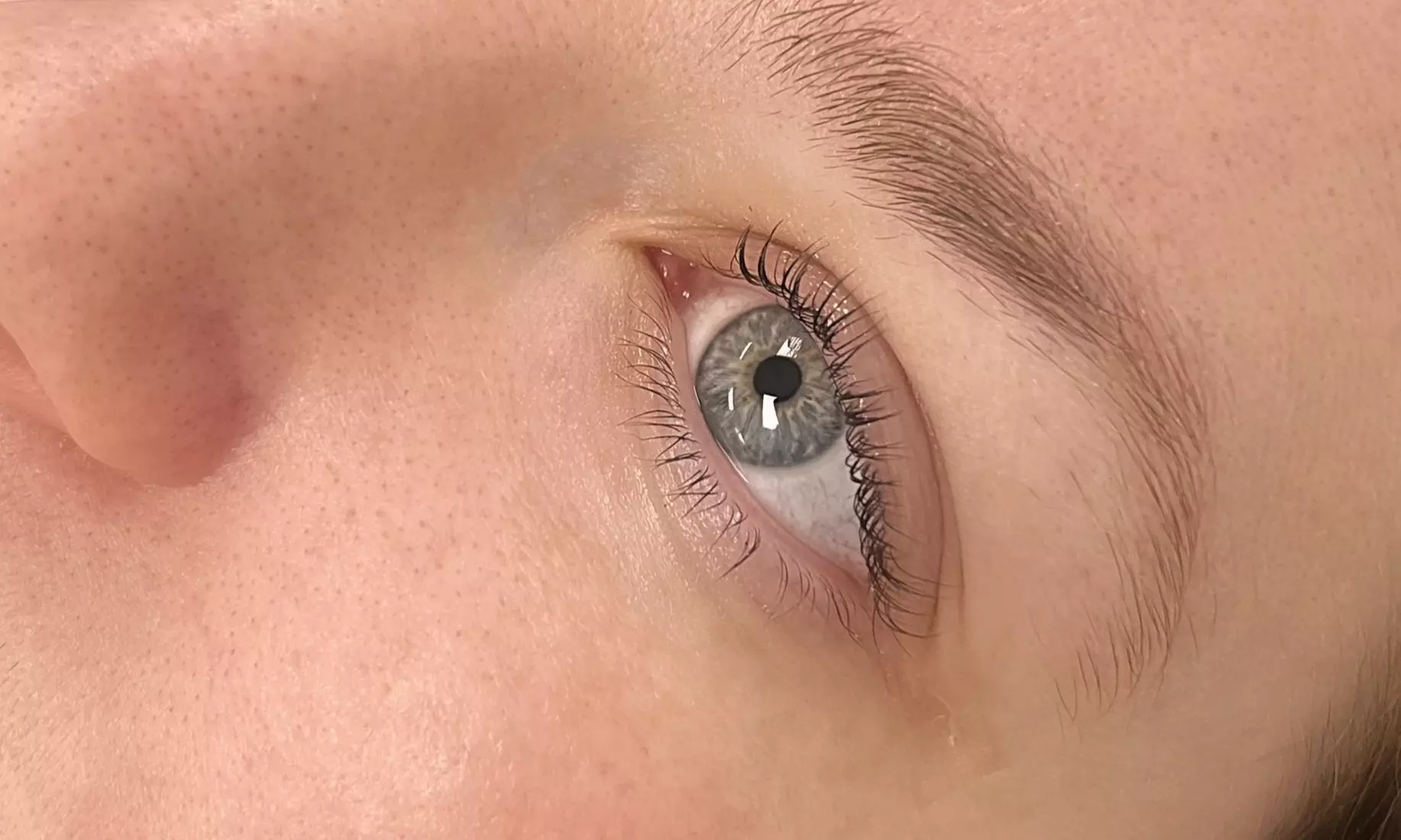Discover Blush And Beauty's personalized lash lift with tint options, offering up to 40% off for a stunning eye enhancement. - Primary Image