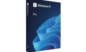 Microsoft Windows 11 Pro at Sy Llc Ltd Up to 88% Off 