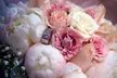 60-Minute On-Location Wedding Photo Shoot with 10 or 15 Pictures from La Foto De Natalie (Up to 51% Off) - Second Medium