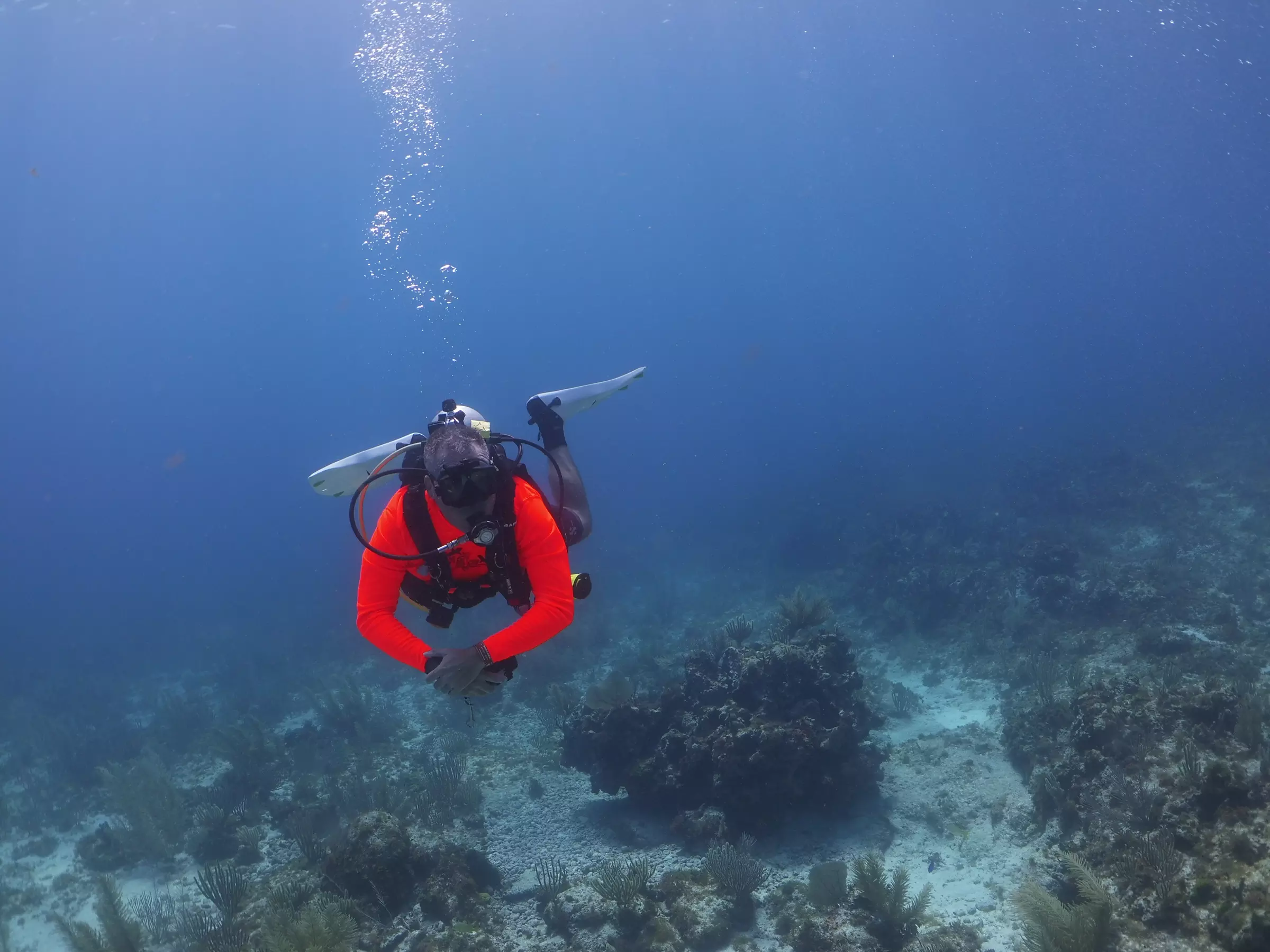 Up to 30% Off on SCUBA Certification at Elite Scuba - Primary Image