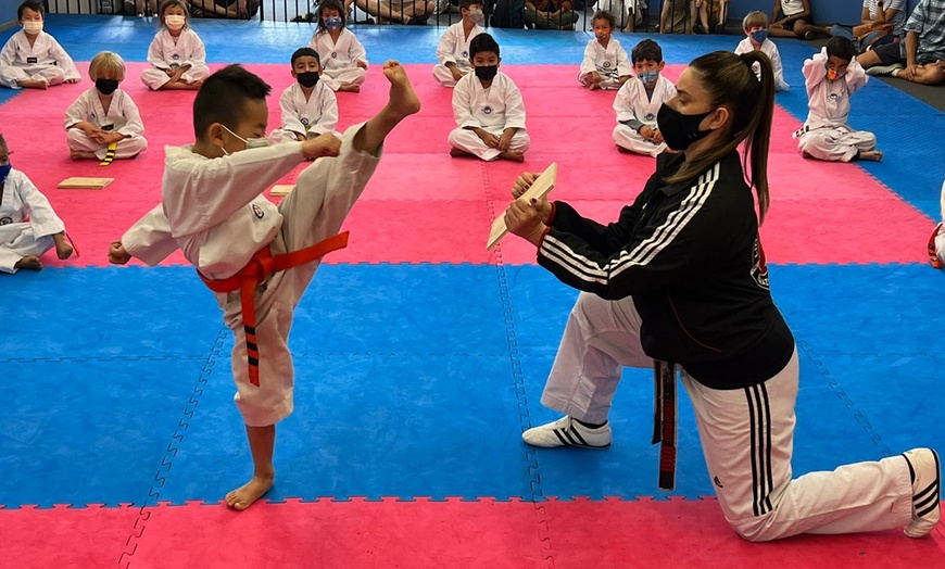 Image 14: Brazilian Jiu Jitsu & Taekwondo Trial Classes 