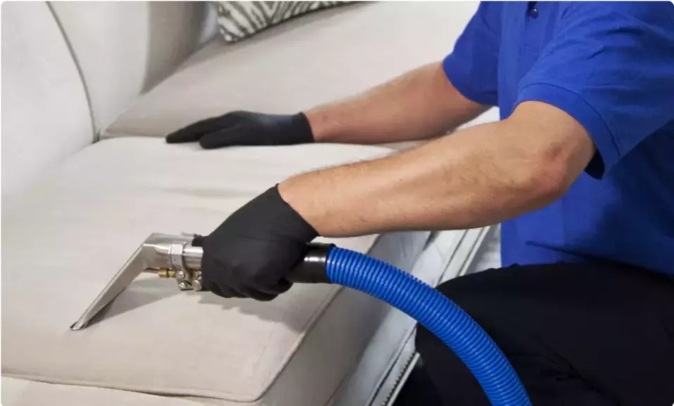 Up to 48% Off on Upholstery Cleaning at WNY Carpet Pro - Primary Image