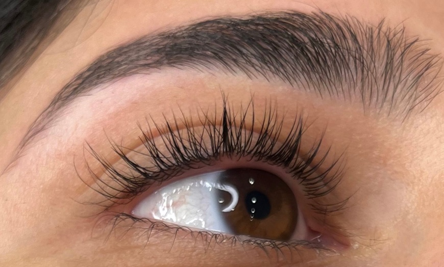 Image 3: Up to 30% Off on Eyelash Tinting at MUA LUZ