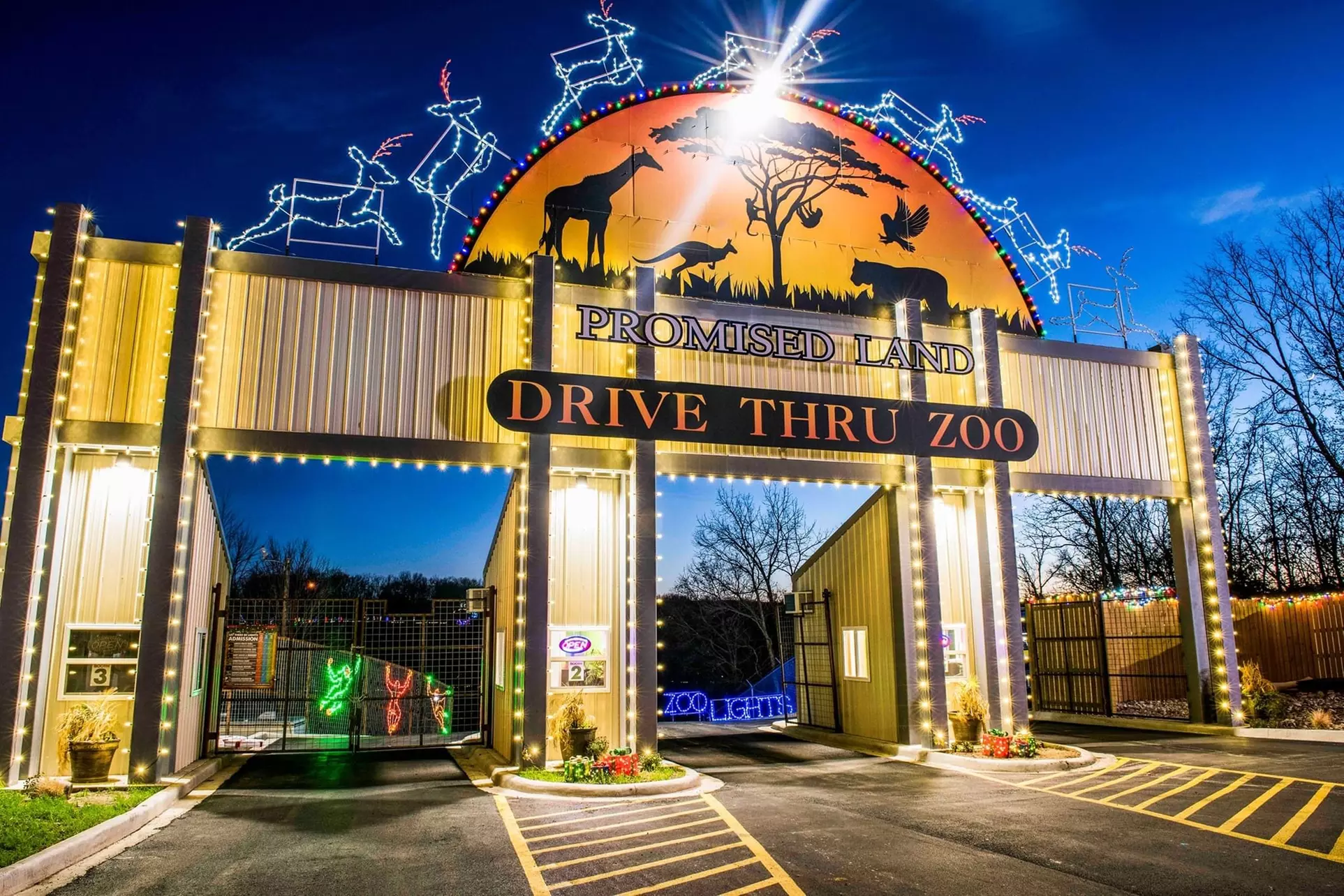 Up to 36% Off on Tree Farm / Christmas Tree Farm at Branson's Promised Land Zoo - Primary Image