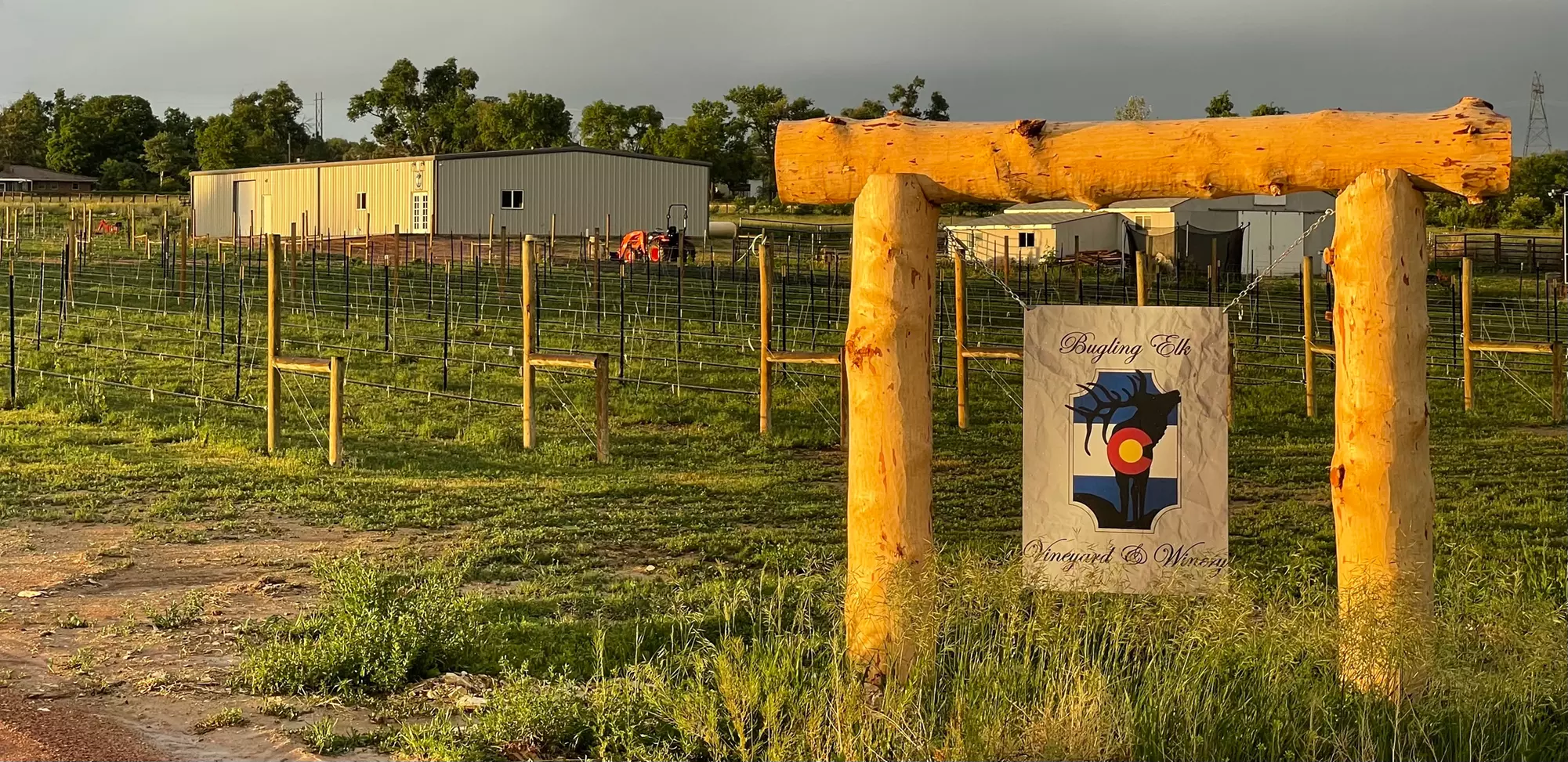 Up to 23% Off on Wine Tasting / Flight at Bugling Elk Vineyards & Winery - Primary Image