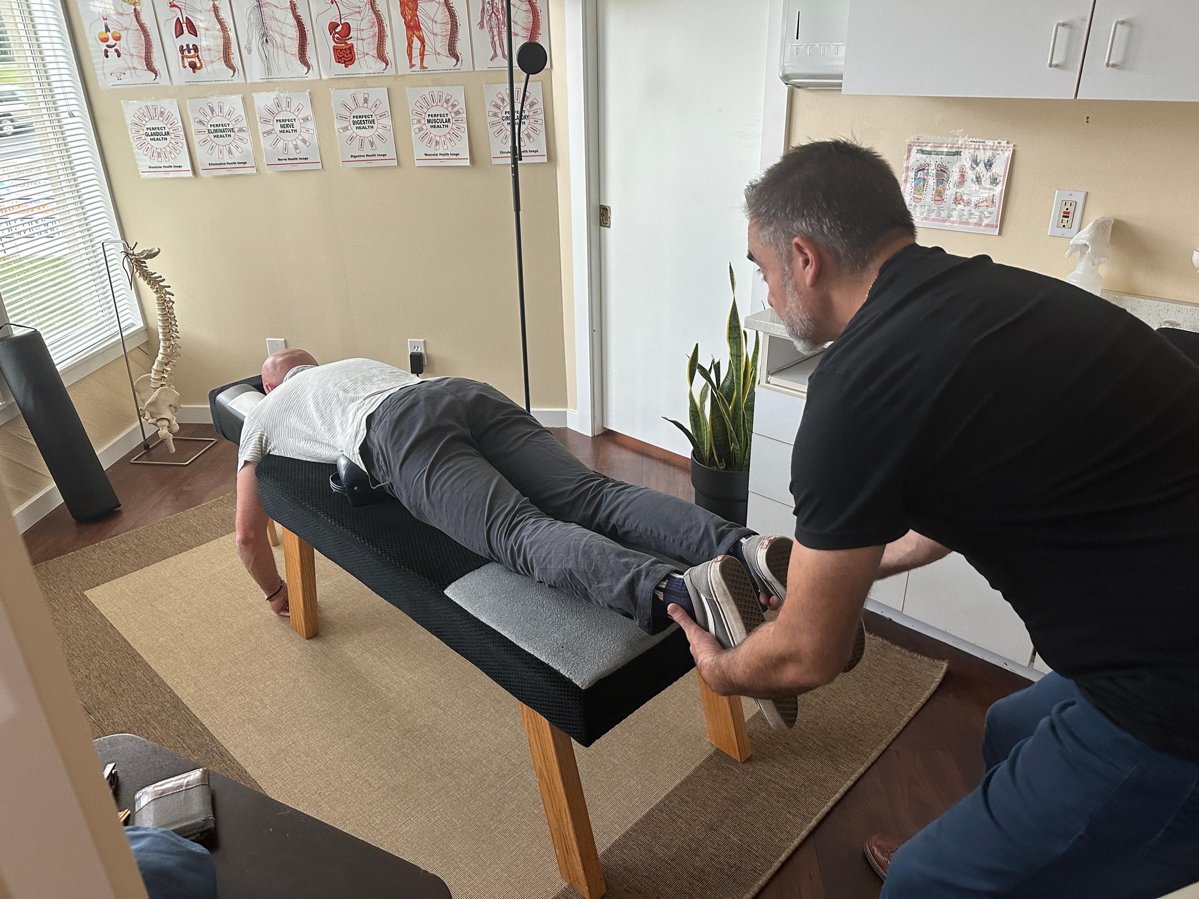 Chiropractic Consult & Adjustment Options Available