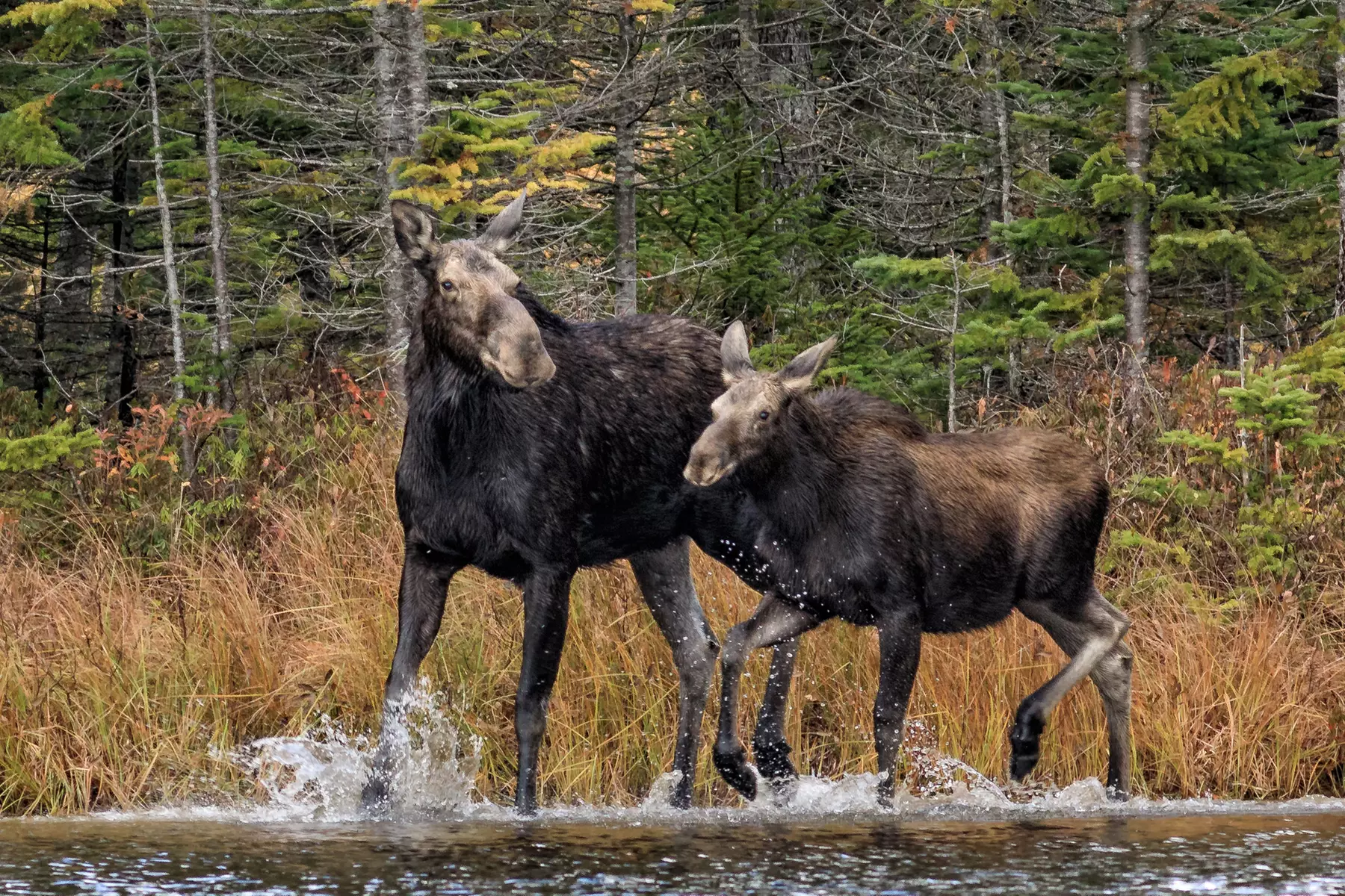 Capture unique moments with Rhode Island Photography Workshops, offering diverse outdoor experiences and up to 45% off - Image 5