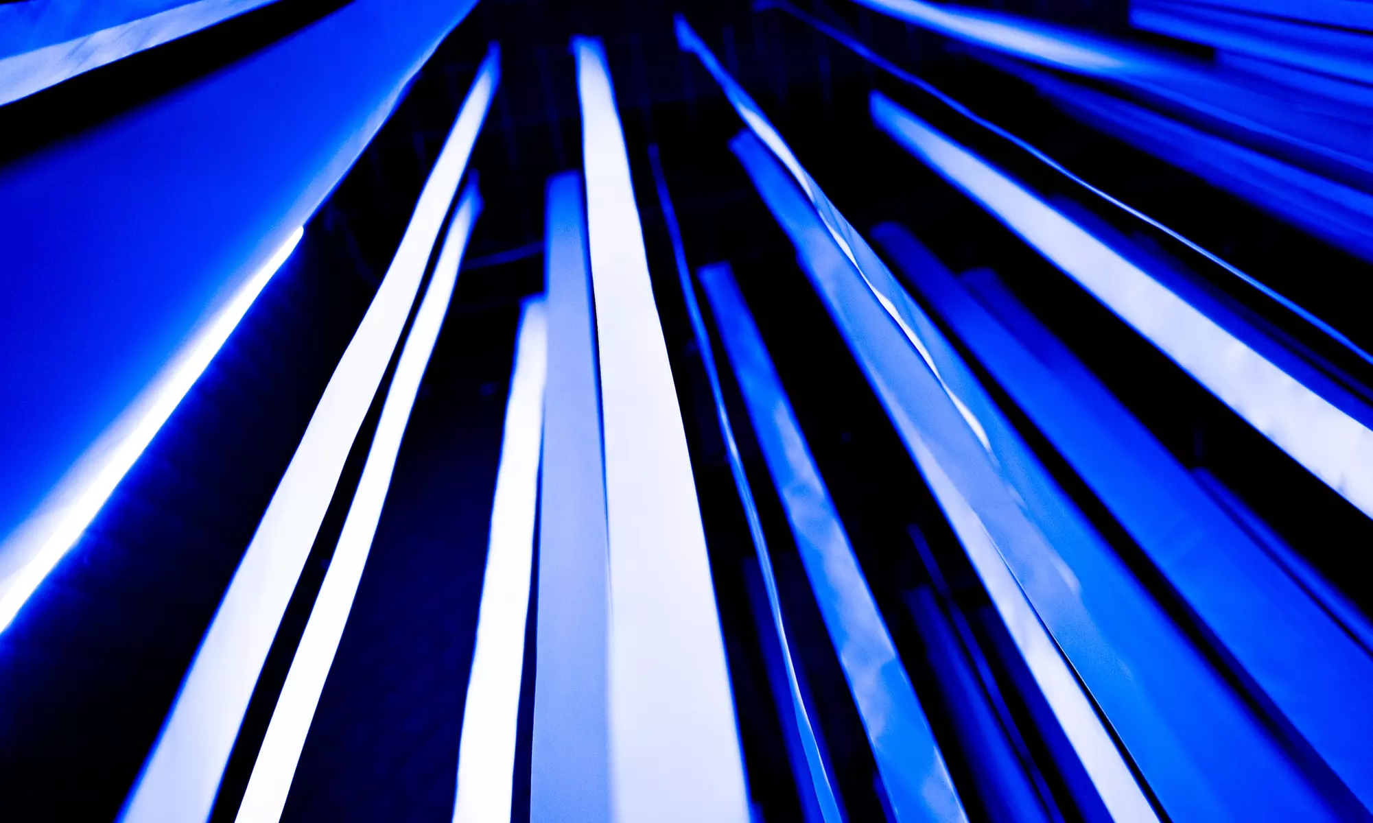 Do 25% zniżki na: Park rozrywki w firmie TomorrowLand Kraków