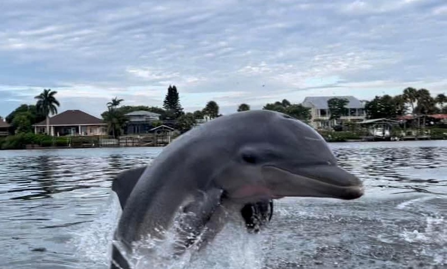 Image 2: Enjoy 90-Min of Dolphin & Manatee River Tour for One or Two