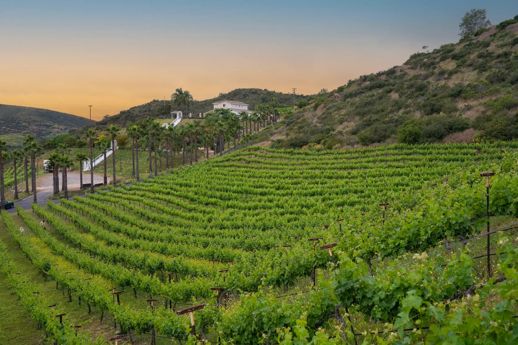 Enjoy wine and charcuterie with stunning views and live music