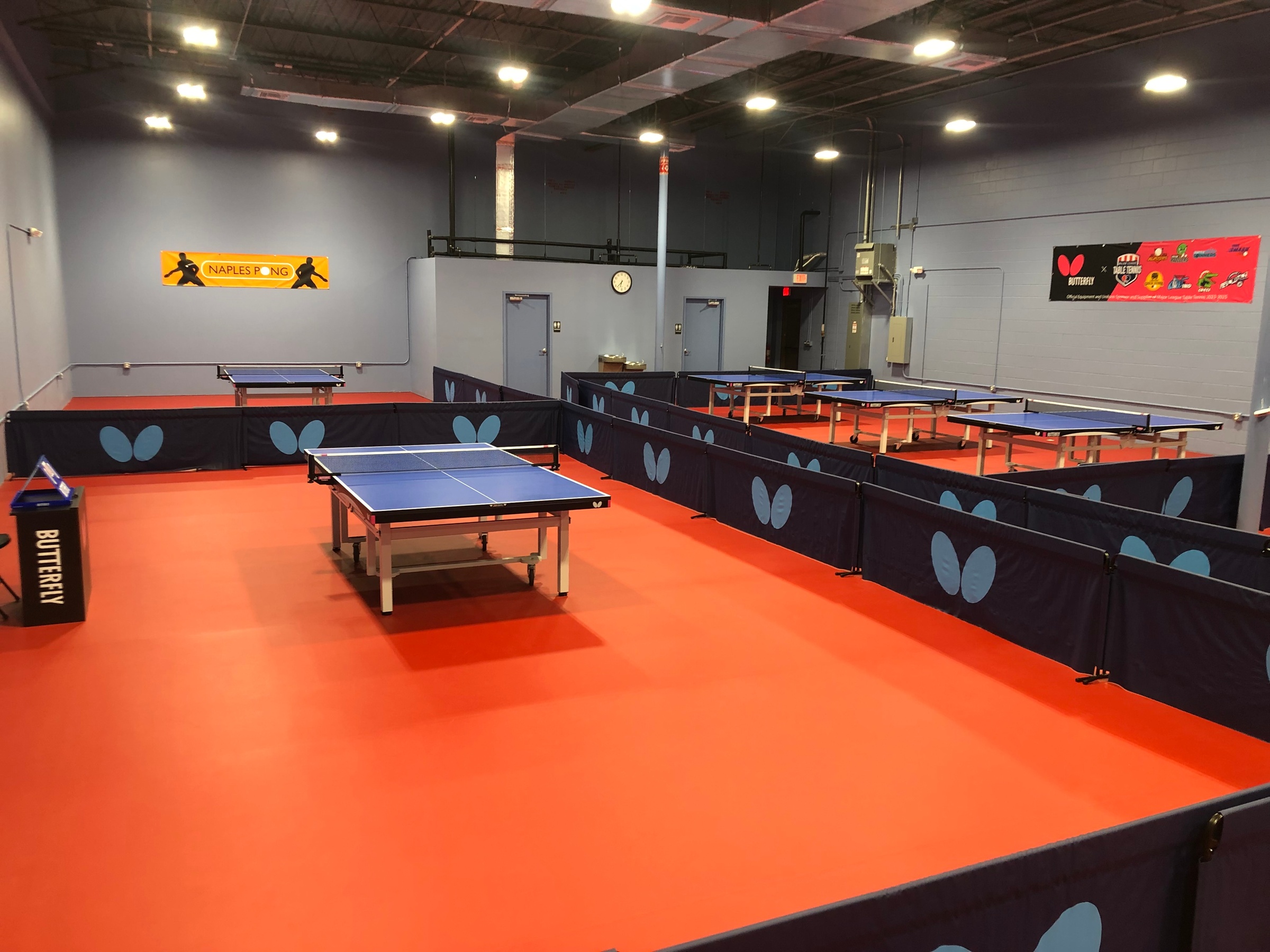 Up to 38% Off on Table Tennis / Ping Pong at Naples Pong
