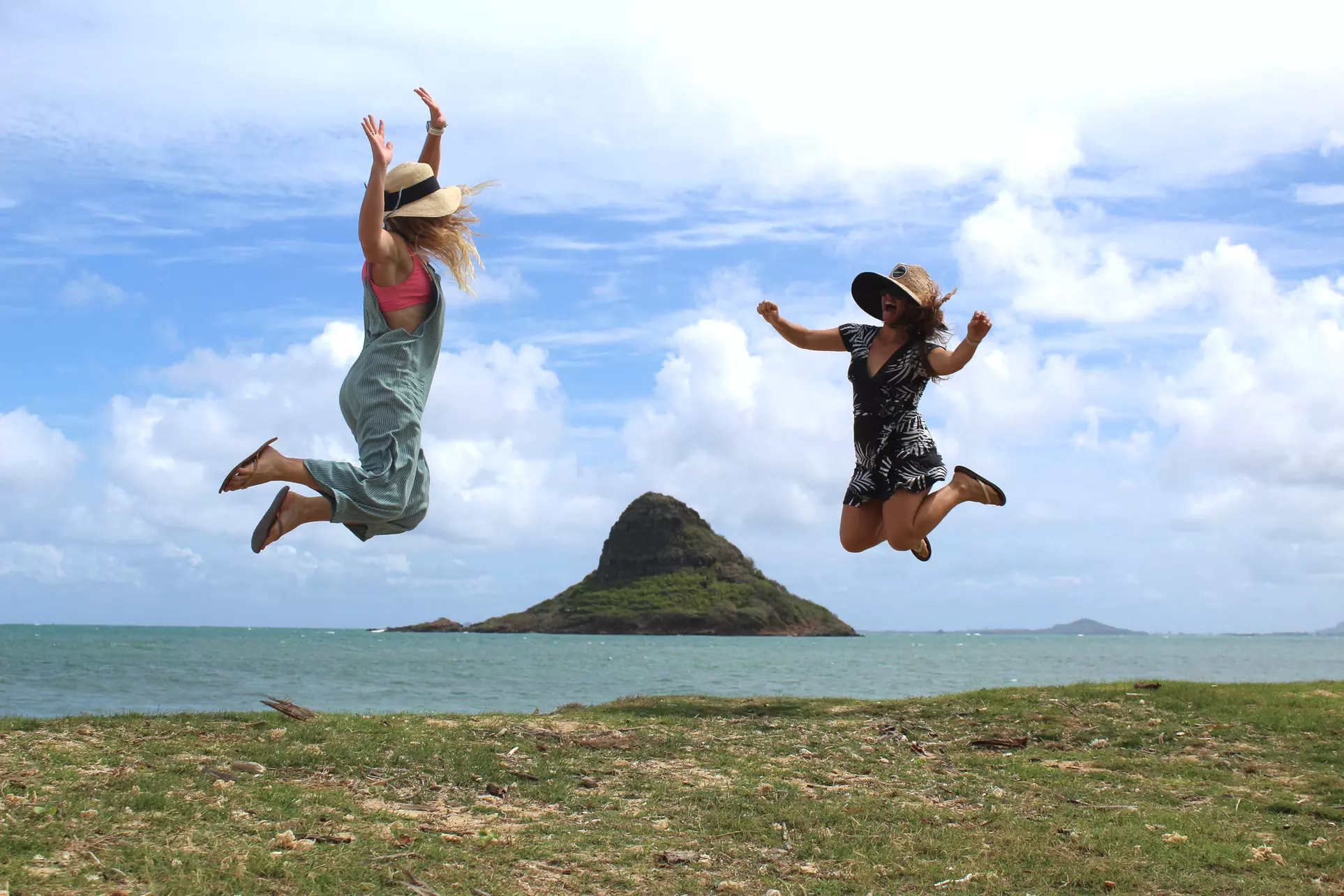 Epic Adventure tour, featuring Dolphins, turtles and caves.
 - Second Medium