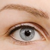 Image 1: Permanent Make-up inkl. Nachbehandlung: Lidstrich oder Wimpernkranz