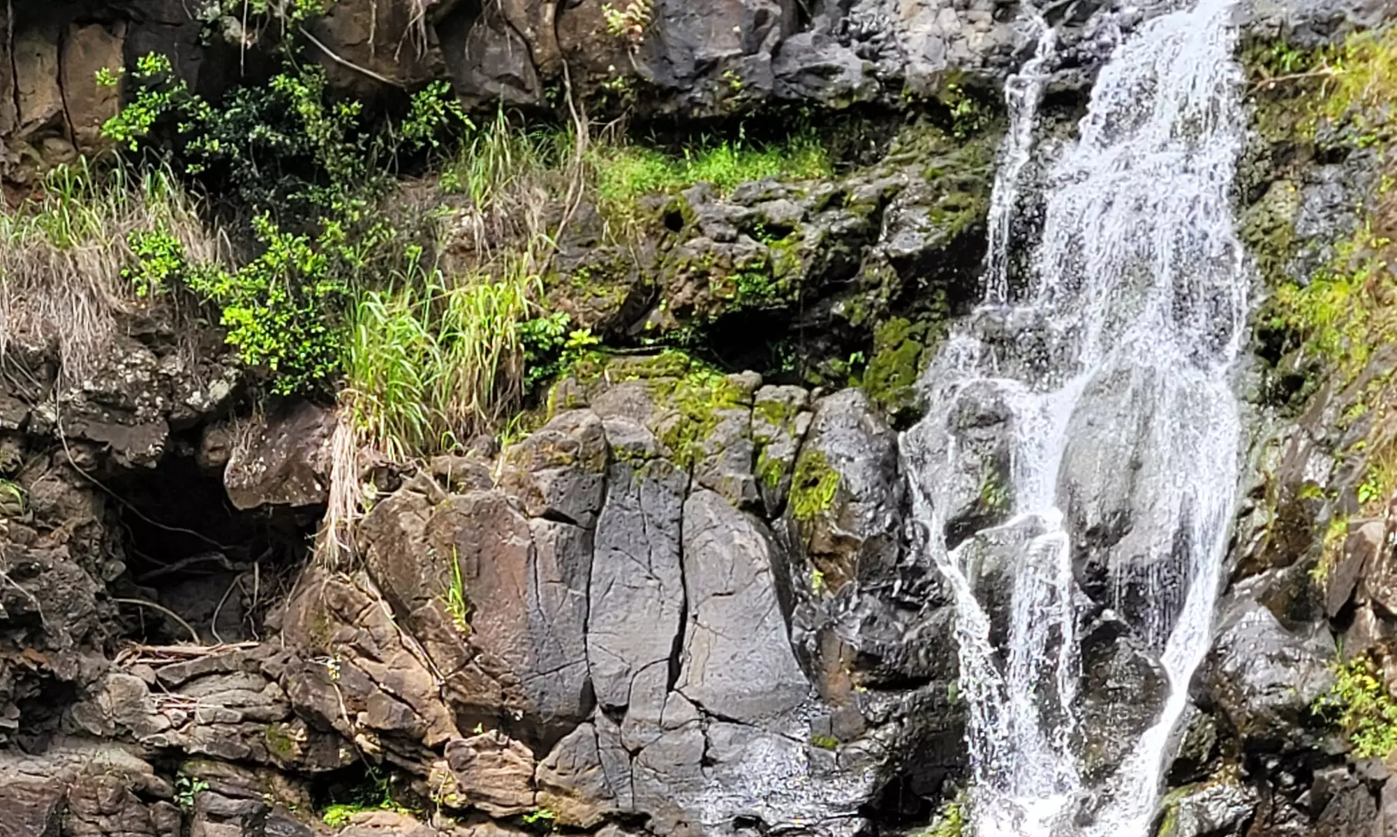 Up to 39% Off on Bus Tour at 1 Epic Tour - Second Medium