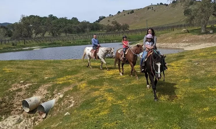 Up to 20% Off on Horse Back Riding at Trails of 49 - Primary Image