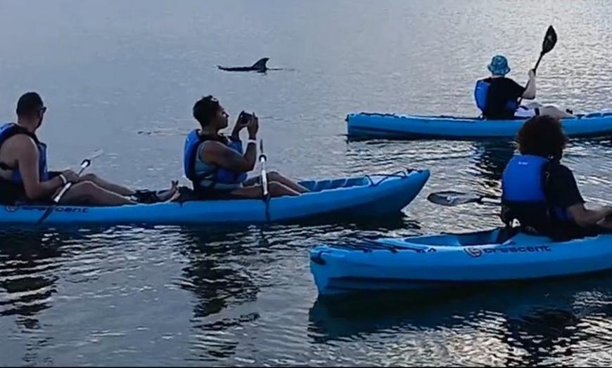 Image 5: BOGO Bioluminescent Kayaking & Guided Eco Tours at Cocoa Beach