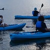 Image 5: BOGO Bioluminescent Kayaking & Guided Eco Tours at Cocoa Beach