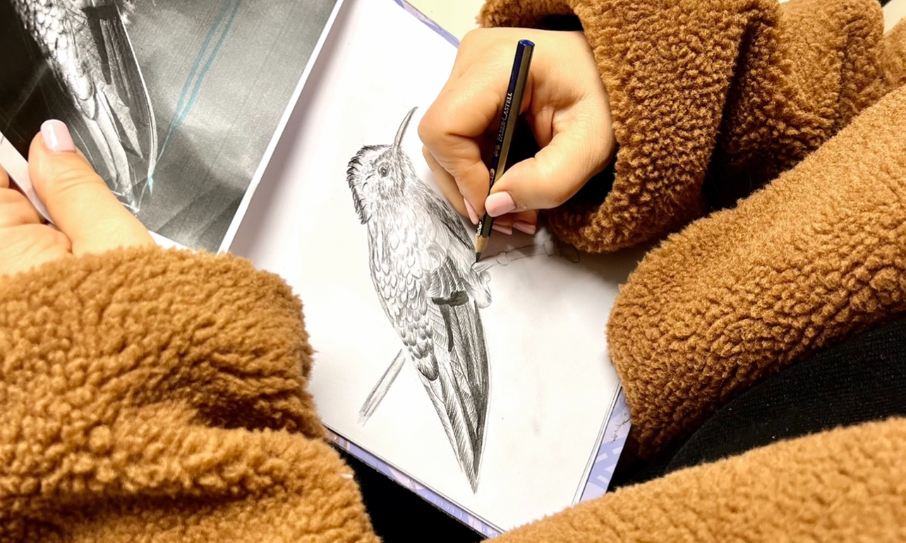 Explore Drawing Techniques with In-Person Classes