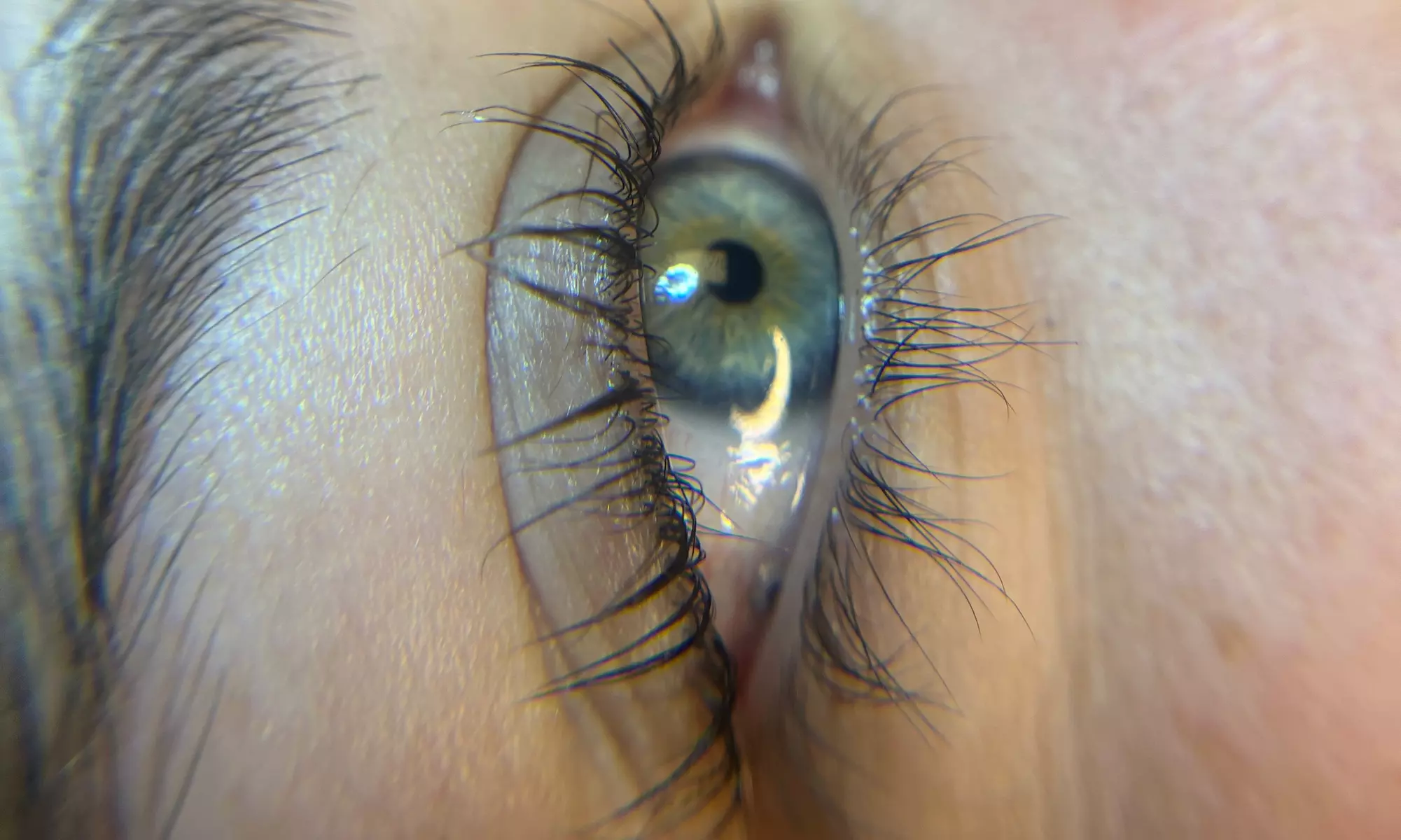Up to 30% Off on Eyelash Perm at HaLo Beauty Lab LLC