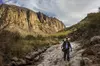 Southwest Discoveries: Experience Stunning Sonoran Desert Guided Tour for 1, 2, or 4 (Up to 55% Off)
